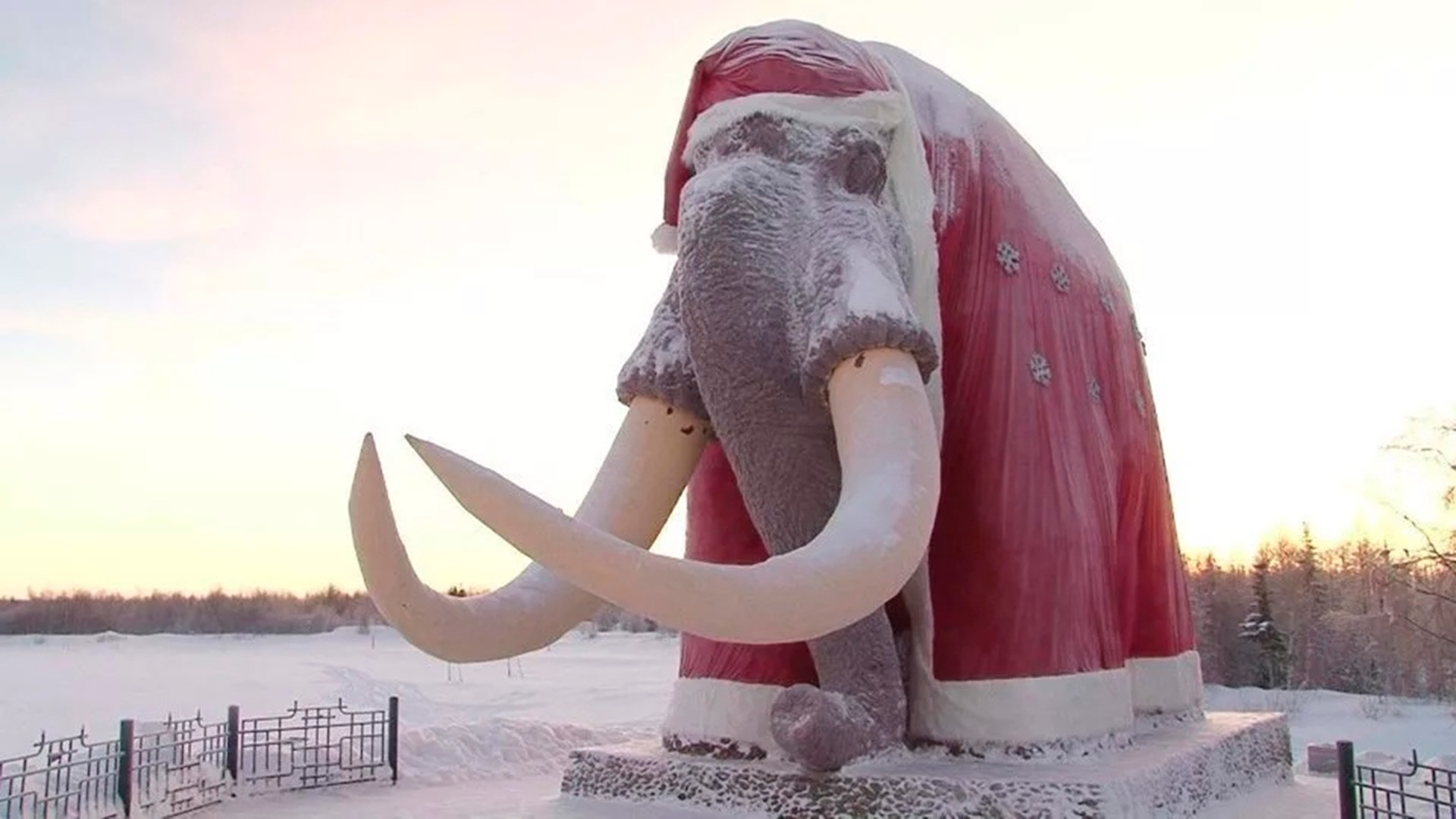 The idea of ​​recovering mammoth DNA doesn't seem so crazy anymore.