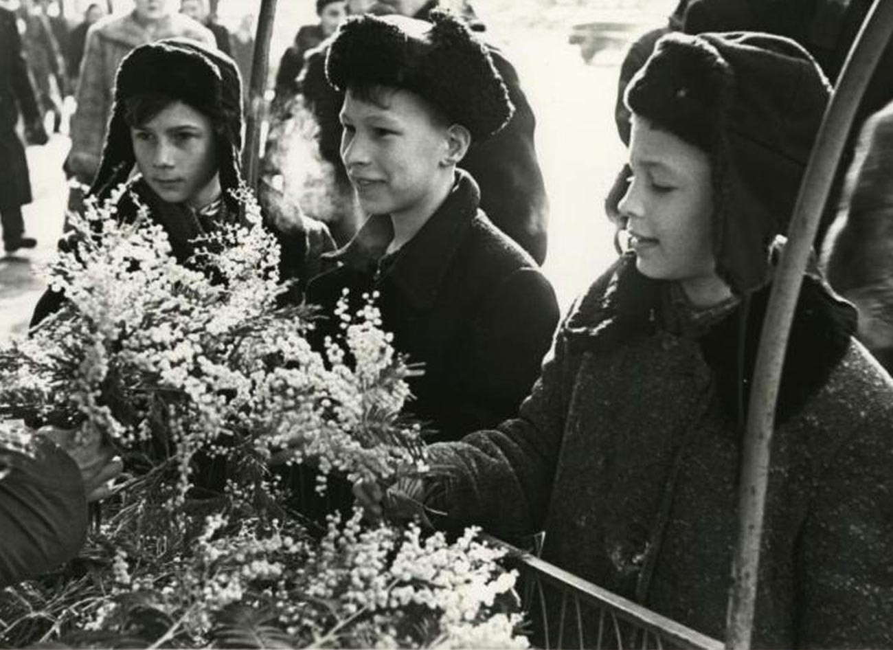 Los chicos compran flores demimosa para el Día Internacional de la Mujer, el 8 de marzo de 1959