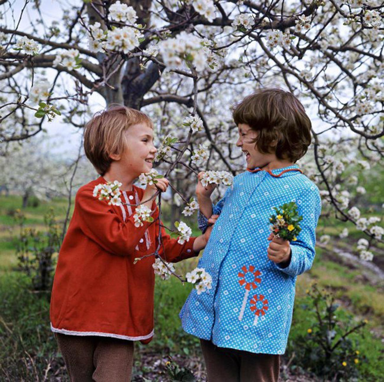 Conversación de primavera, 1971

