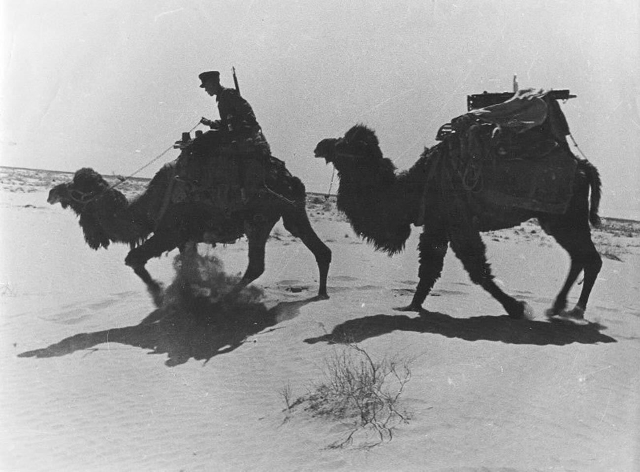 Garde-frontière au Turkménistan, années 1930
