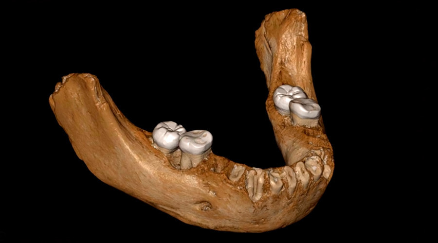 Reconstrução de maxilar denisovano.