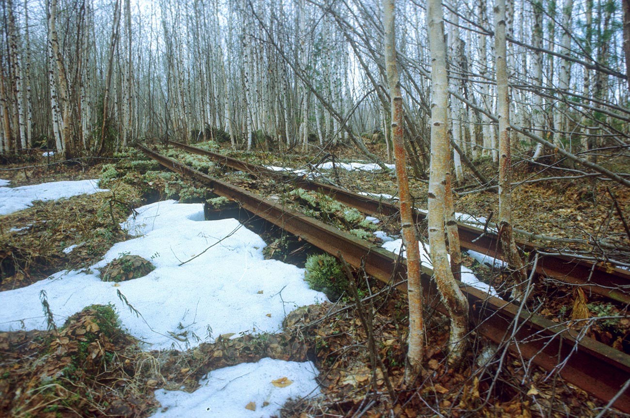 The railroad in tundra.