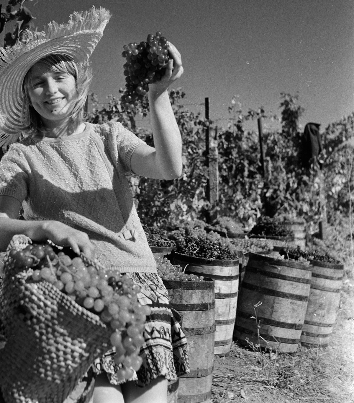 Colheita de uvas na Crimeia, 1970