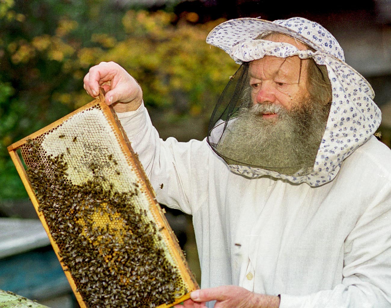 Memproduksi madu adalah salah satu kerajinan Rusia yang tertua.