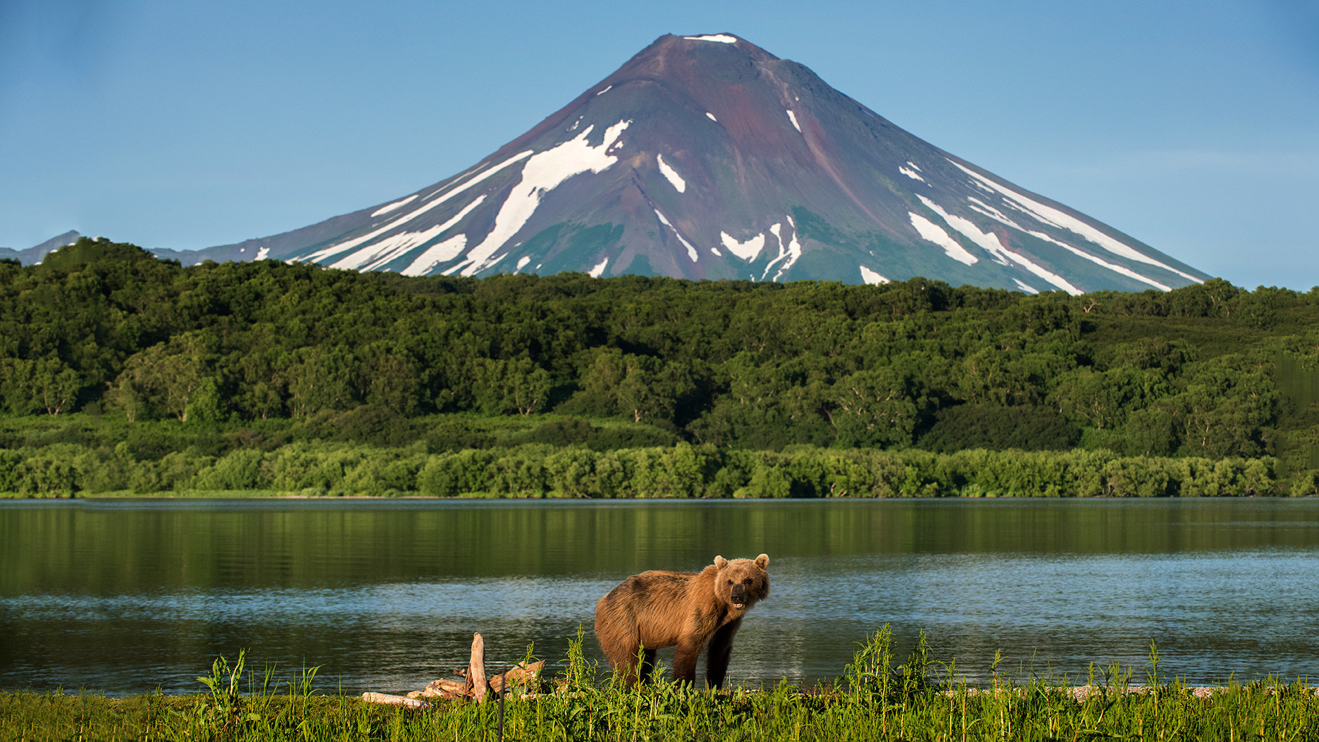 Россия Камчатка Фото