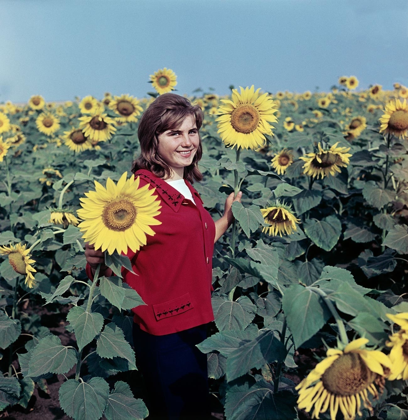 Olia Grigorenko, trabalhadora da fazenda coletiva Testamento de Lênin, em um campo de girassóis, 1966