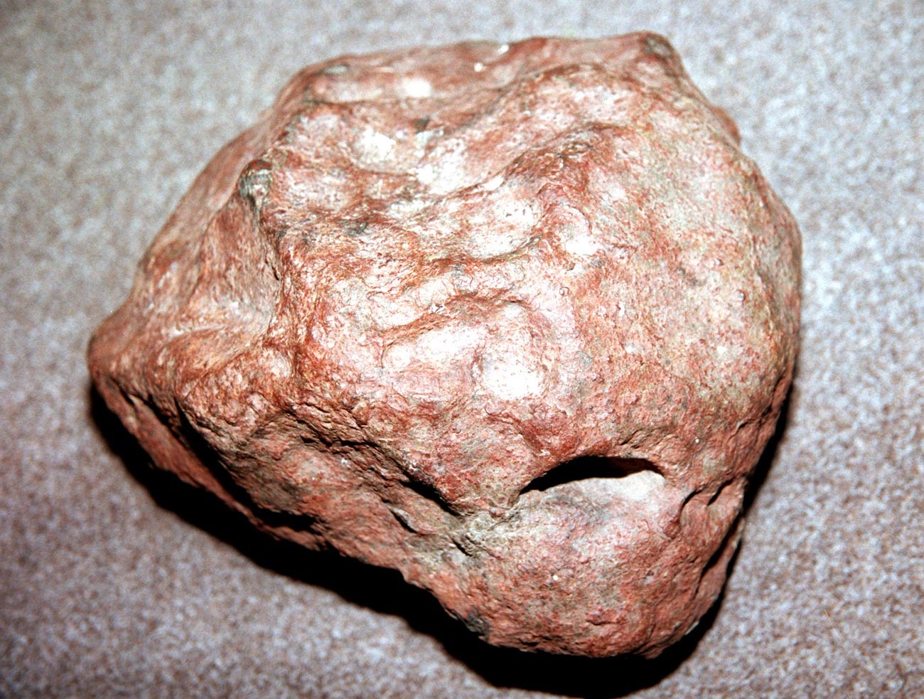 ツァレフ隕石の破片