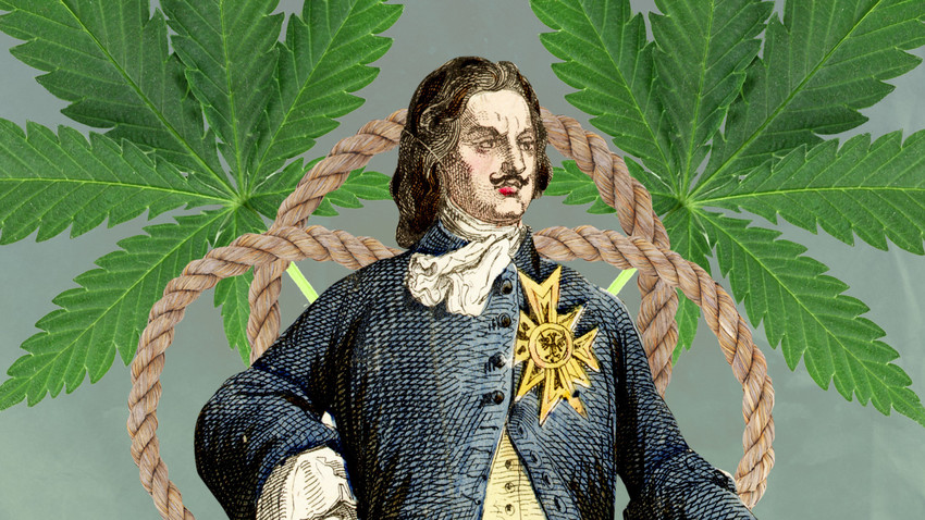 Peter the Great knew how to use the plant for his material, not spiritual, needs.
