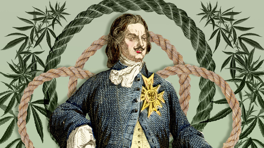 Pietro il Grande sapeva come usare la pianta di canapa… ma per i suoi bisogni materiali
