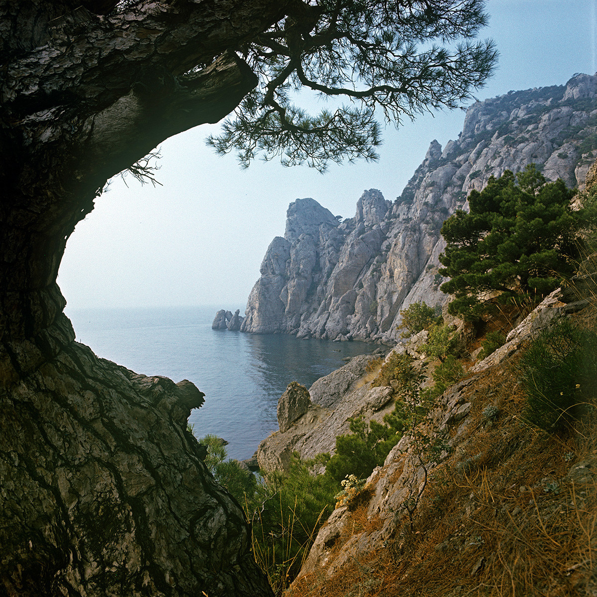 Природа на јужната ривиера на Крим, 1981 година.
