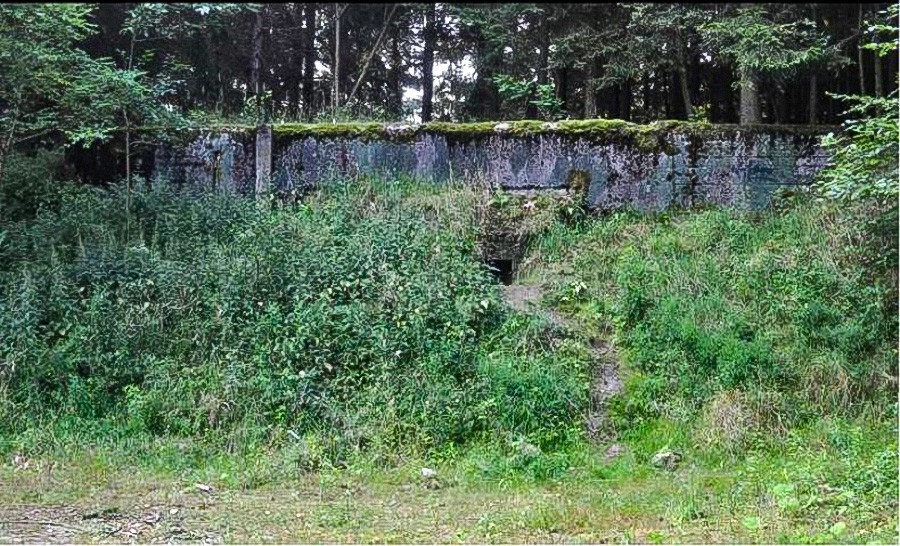 Jedrski bunker, kjer so našli »kolonijo« mravelj. Po padcu Sovjetske zveze je bil zapuščen.

