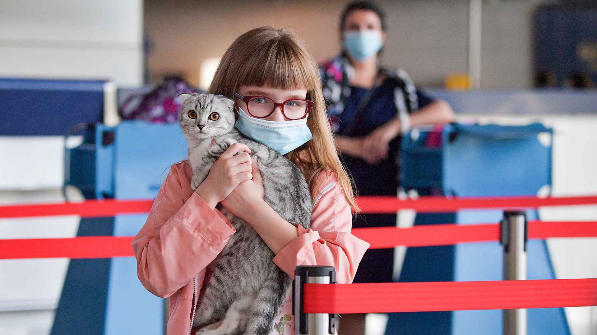 A girl holds a kitten in her arms in one of the terminals at Vnukovo international airport