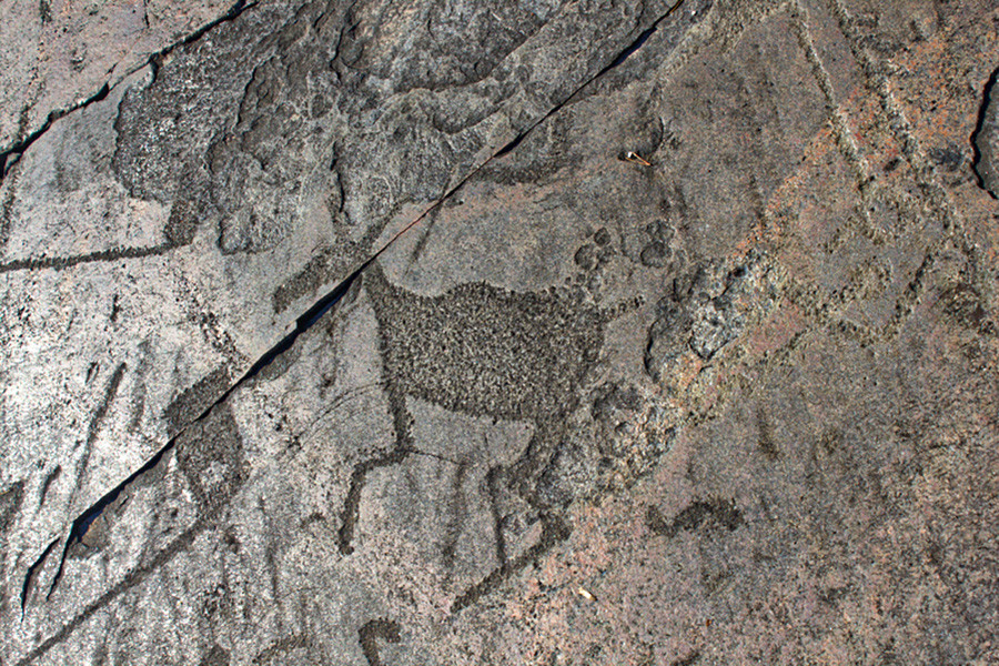 Petroglyph of a deer.