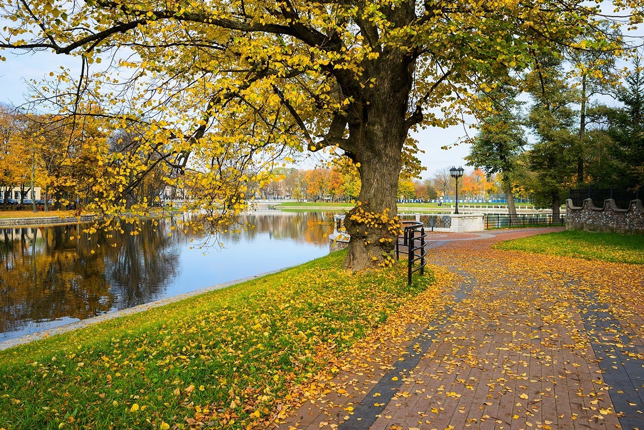 Jesen v Kaliningradu
