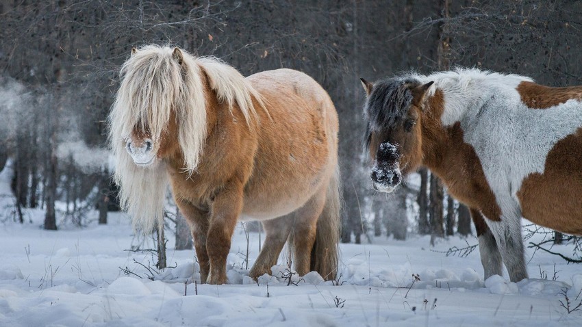 Минус фотографии друзей