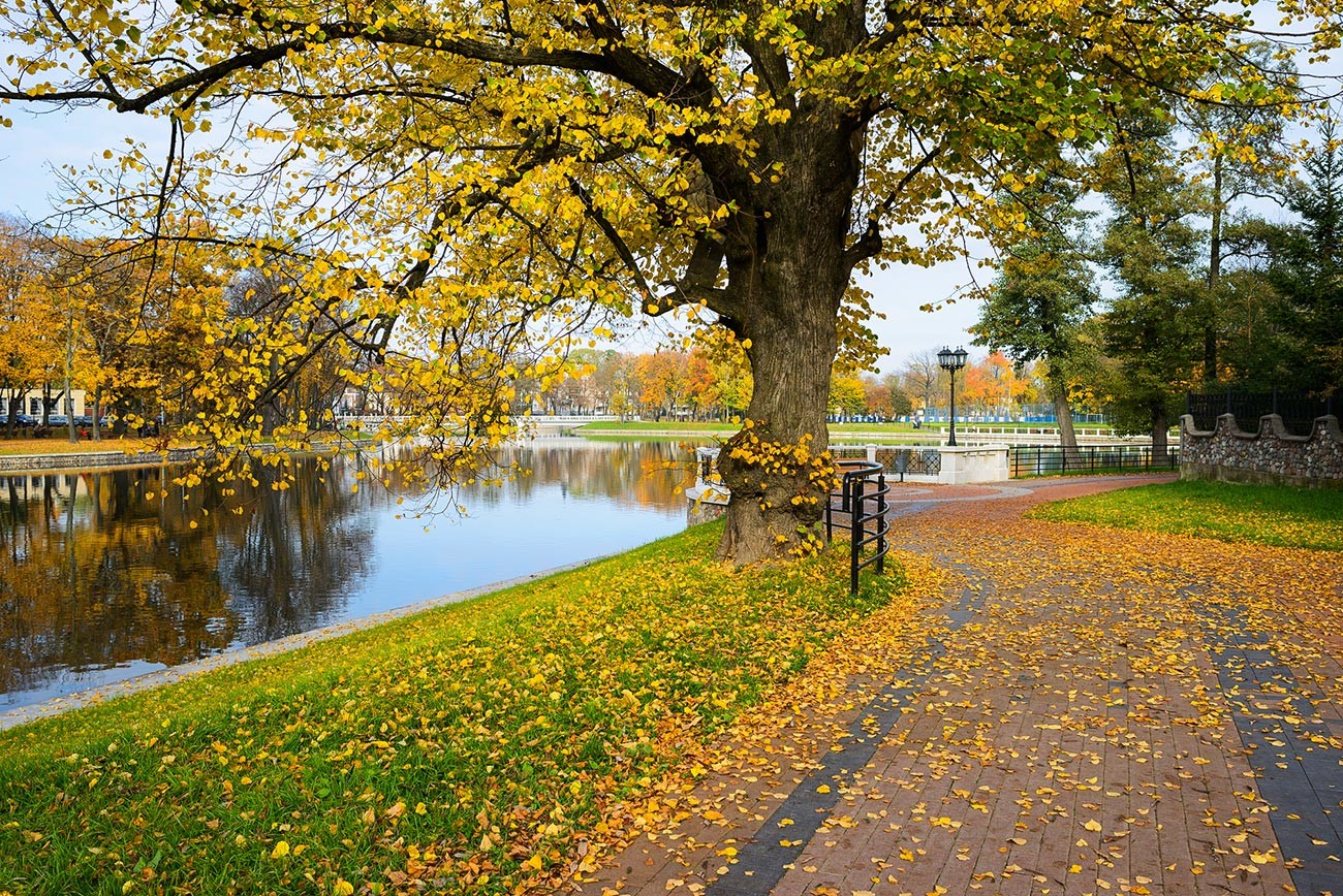 Fall in Kaliningrad