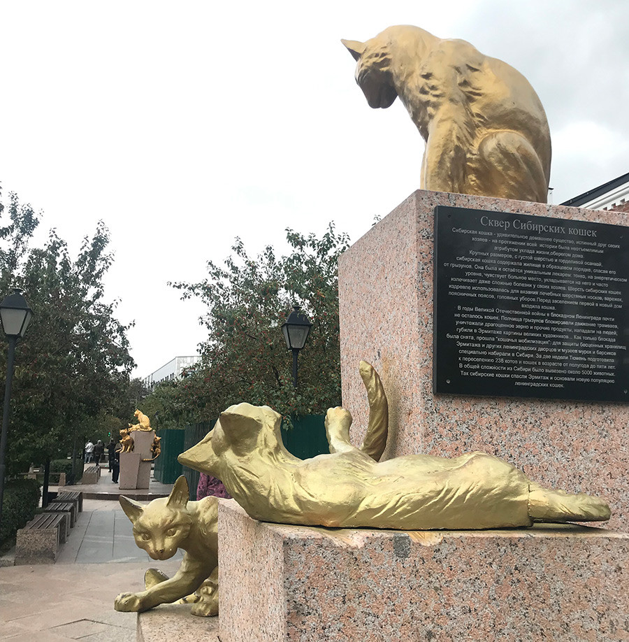 チュメニの中心部にあるネコを記念する広場