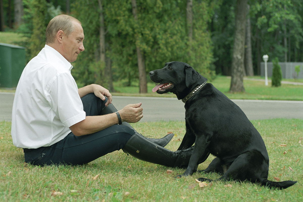 Putin bercengkrama dengan Koni, anjing labrador pemberian Menteri Pertahanan Shergey Shoygu.