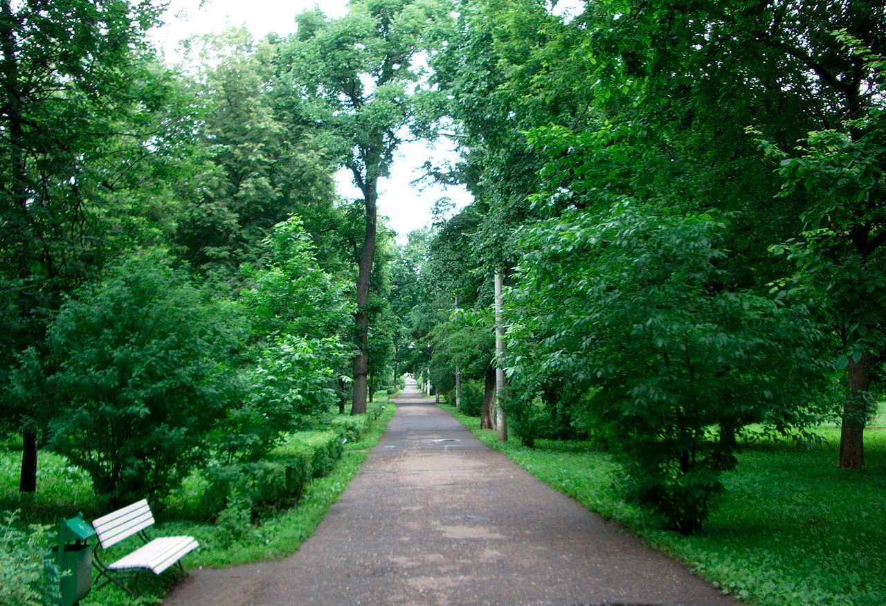 Il parco Berjózovaja Roshcha (“Boschetto di betulle”)