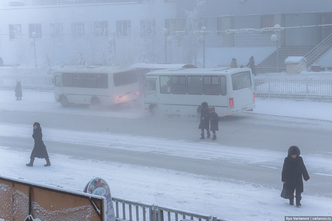 Buses in Yakutsk.