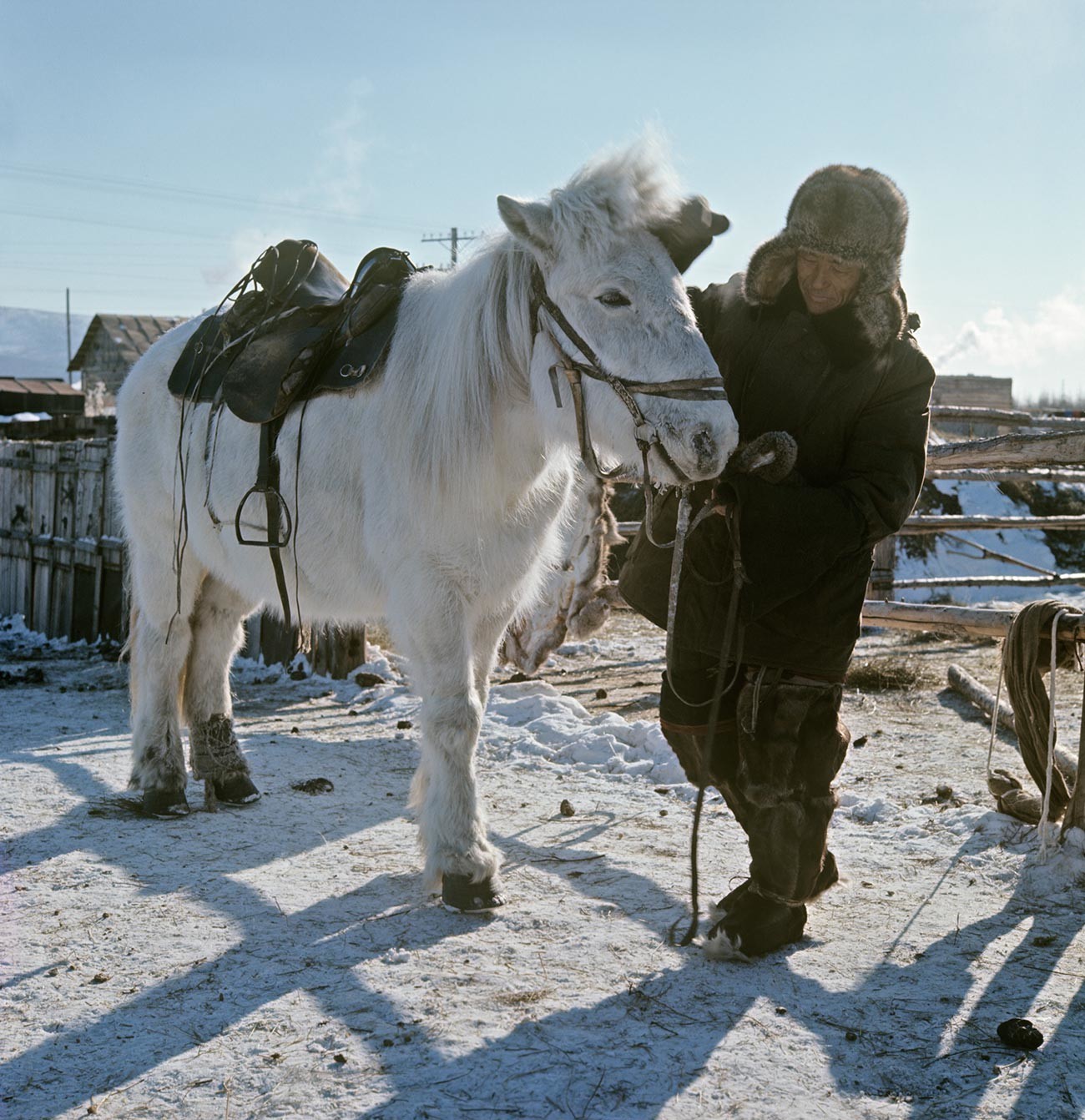 Ловецот Андреј Алексеев со јакутски коњ. Јакутија.

