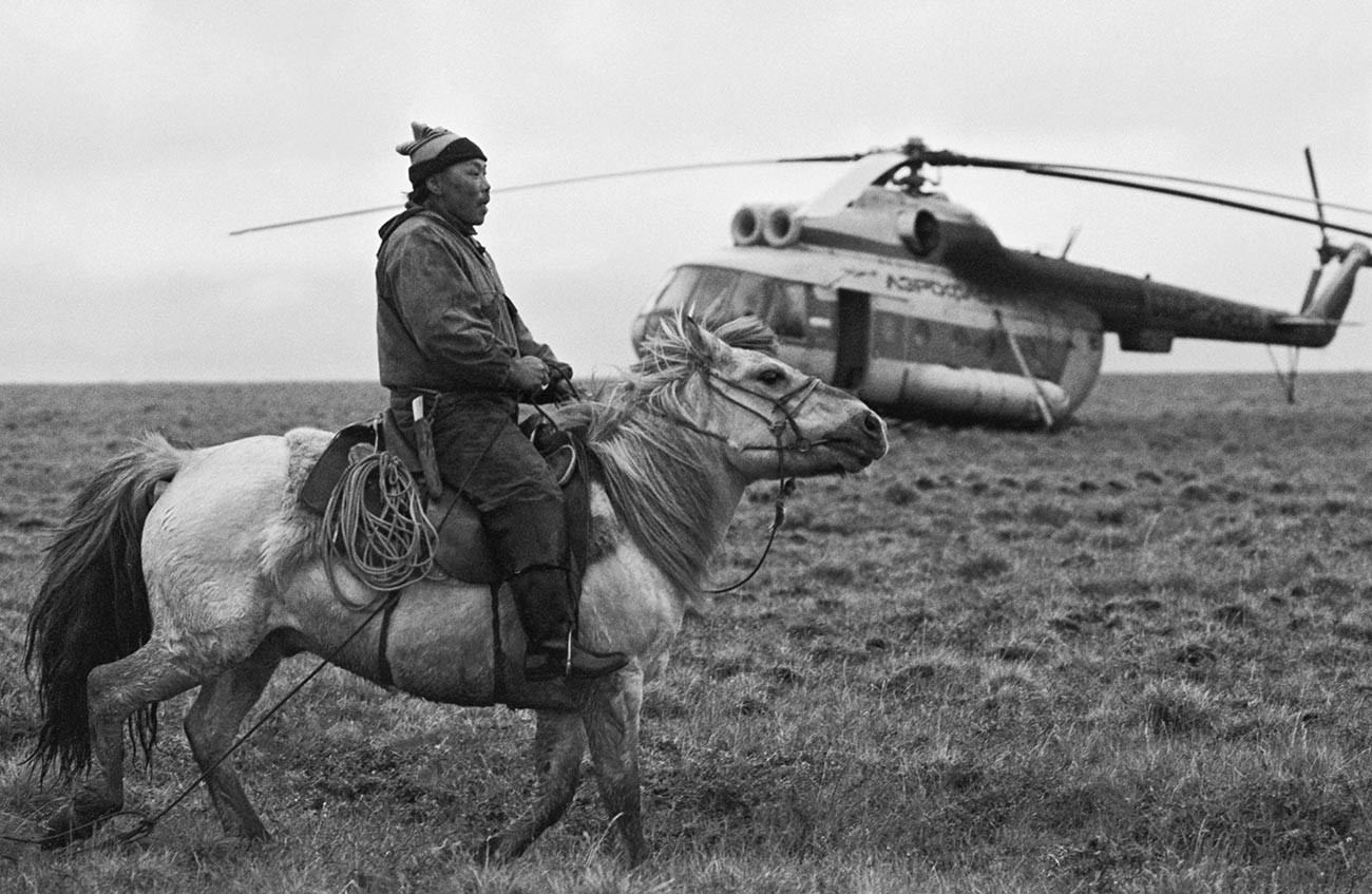 Yakut horse, 1988.