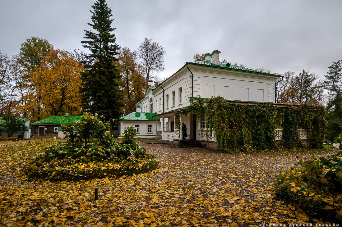 Фото музея ясная поляна