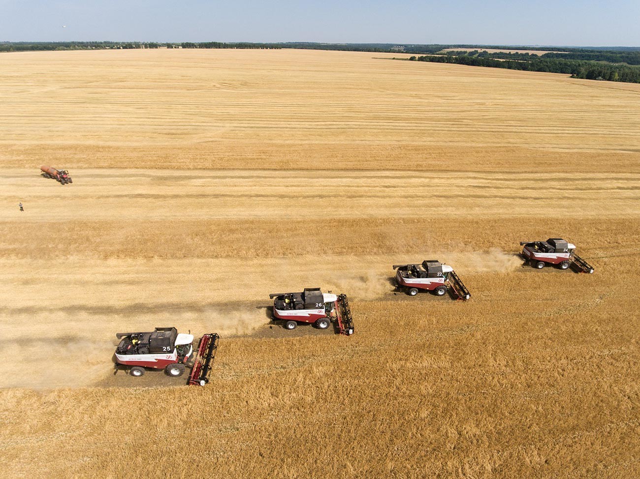 Harvesting combines in a wheat field.