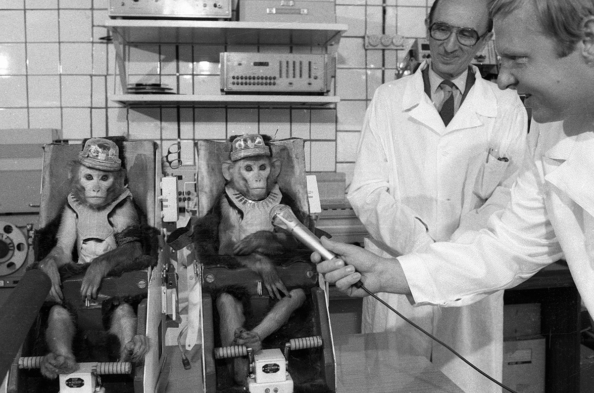 1985. Служители на Института по медицински и биологични проблеми на министерството на здравеопазването на СССР с маймуни, извършили 7-дневен полет на борда на биосателита 