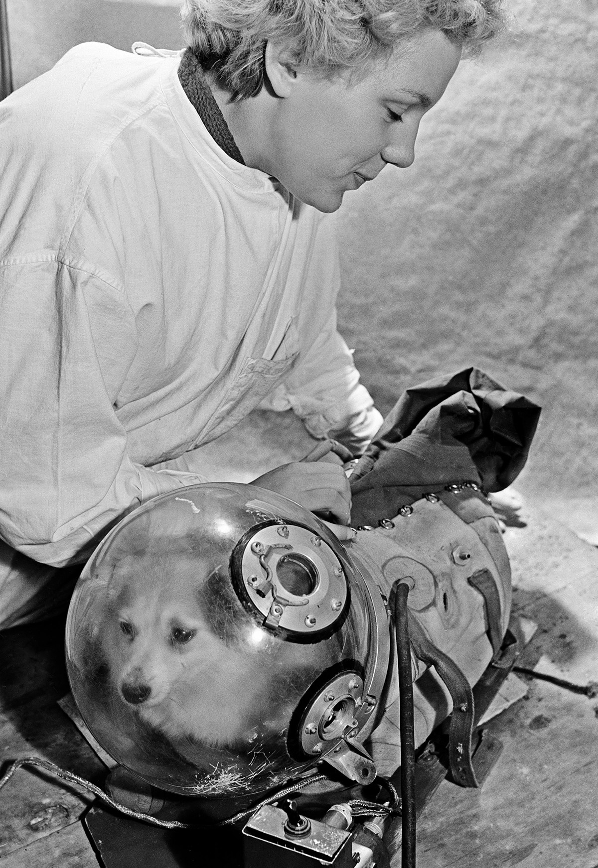 La asistente de laboratorio Natasha Kazakova entrena al perro espacial Kozyavka para un vuelo espacial de prueba en 1959.
