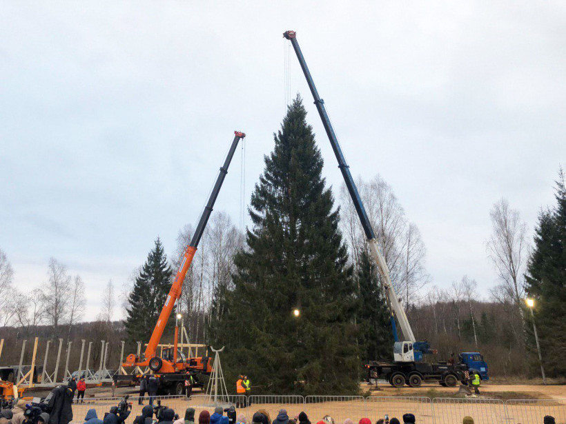 What should the main new year tree of the country look like ответы огэ. Смотреть фото What should the main new year tree of the country look like ответы огэ. Смотреть картинку What should the main new year tree of the country look like ответы огэ. Картинка про What should the main new year tree of the country look like ответы огэ. Фото What should the main new year tree of the country look like ответы огэ What should the main new year tree of the country look like ответы огэ. Смотреть фото What should the main new year tree of the country look like ответы огэ. Смотреть картинку What should the main new year tree of the country look like ответы огэ. Картинка про What should the main new year tree of the country look like ответы огэ. Фото What should the main new year tree of the country look like ответы огэ