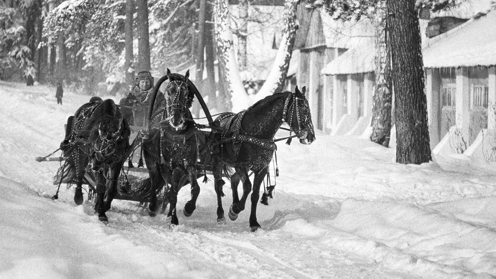 Sebuah troika (kereta kuda khas Rusia) membawa penumpang di Taman Ostankino, Moskow, 1975.