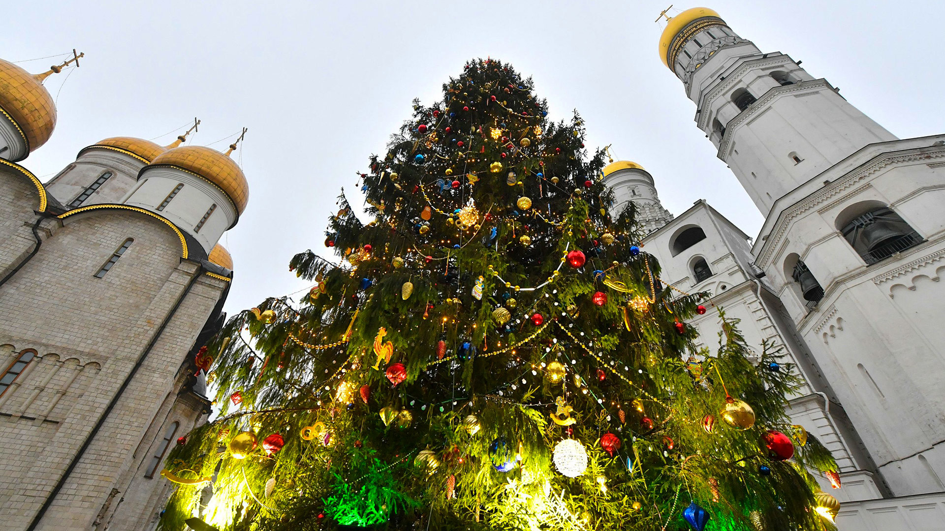 What should the main new year tree of the country look like ответы огэ. Смотреть фото What should the main new year tree of the country look like ответы огэ. Смотреть картинку What should the main new year tree of the country look like ответы огэ. Картинка про What should the main new year tree of the country look like ответы огэ. Фото What should the main new year tree of the country look like ответы огэ What should the main new year tree of the country look like ответы огэ. Смотреть фото What should the main new year tree of the country look like ответы огэ. Смотреть картинку What should the main new year tree of the country look like ответы огэ. Картинка про What should the main new year tree of the country look like ответы огэ. Фото What should the main new year tree of the country look like ответы огэ