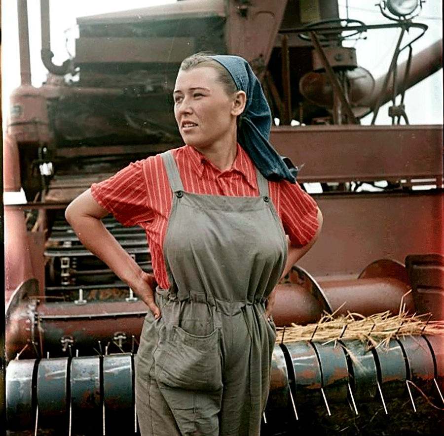 Комбайнерка, 1957 г.