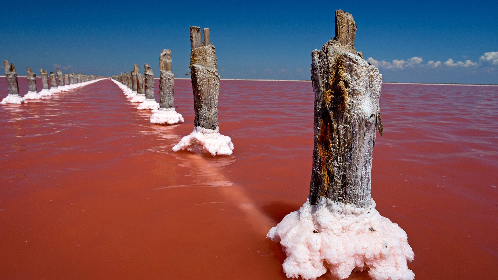 Danau air asin Sasyk-Sivash di Krimea, Rusia.