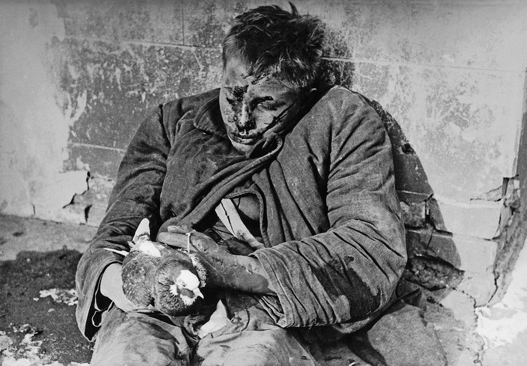 Vitia Tcherevichkine, 16 ans, abattu par les Allemands dans la ville occupée de Rostov-sur-le-Don pour avoir caché des pigeons qu'ils avaient ordonné de tuer, 1941