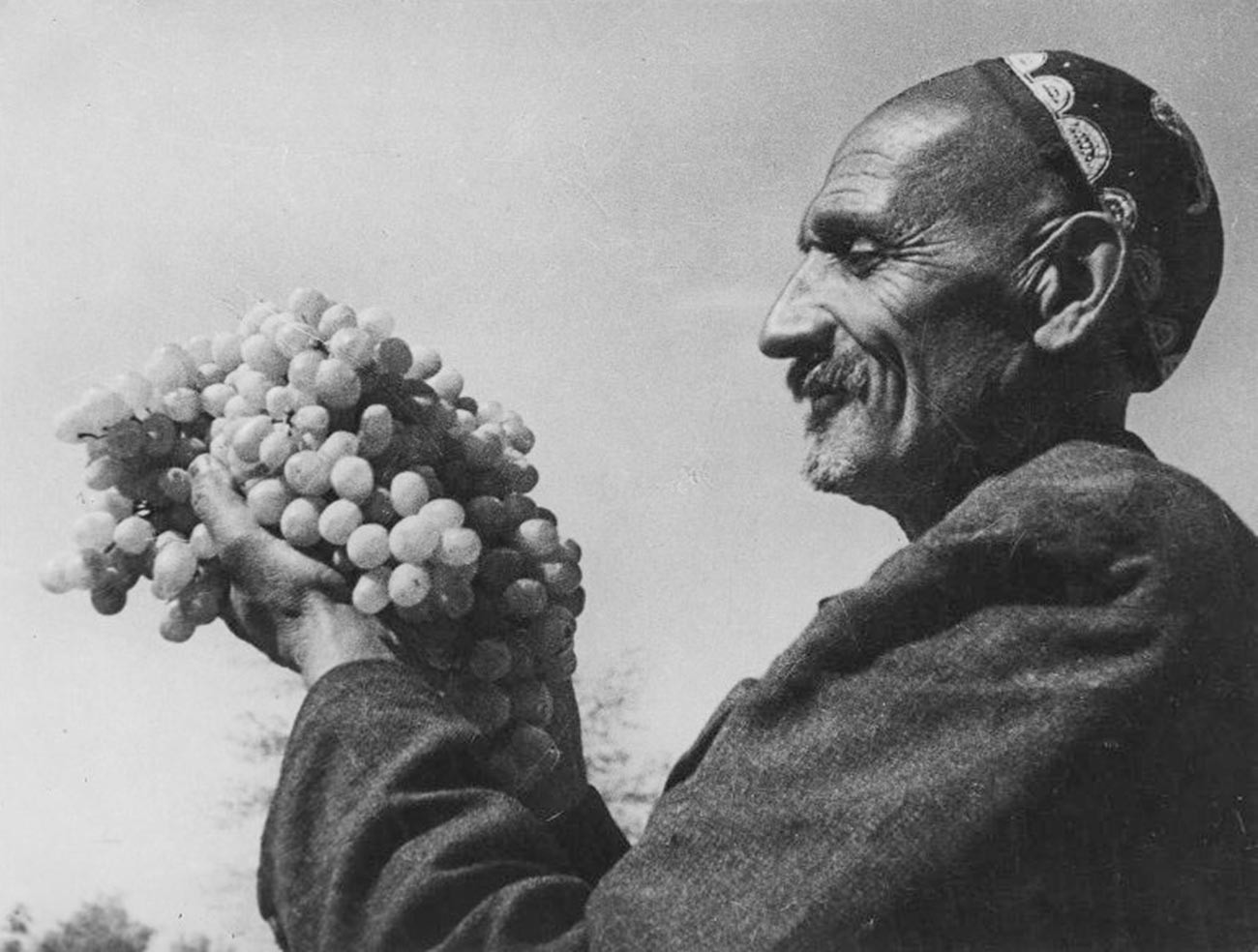 Penanam anggur terkemuka dan paling banyak dianugerahi penghargaan di Uzbekistan, Rizamat Musamukhamedov, yang membiakkan varietas anggur baru, Rundweis (alias Bayan Shirey), 1939.