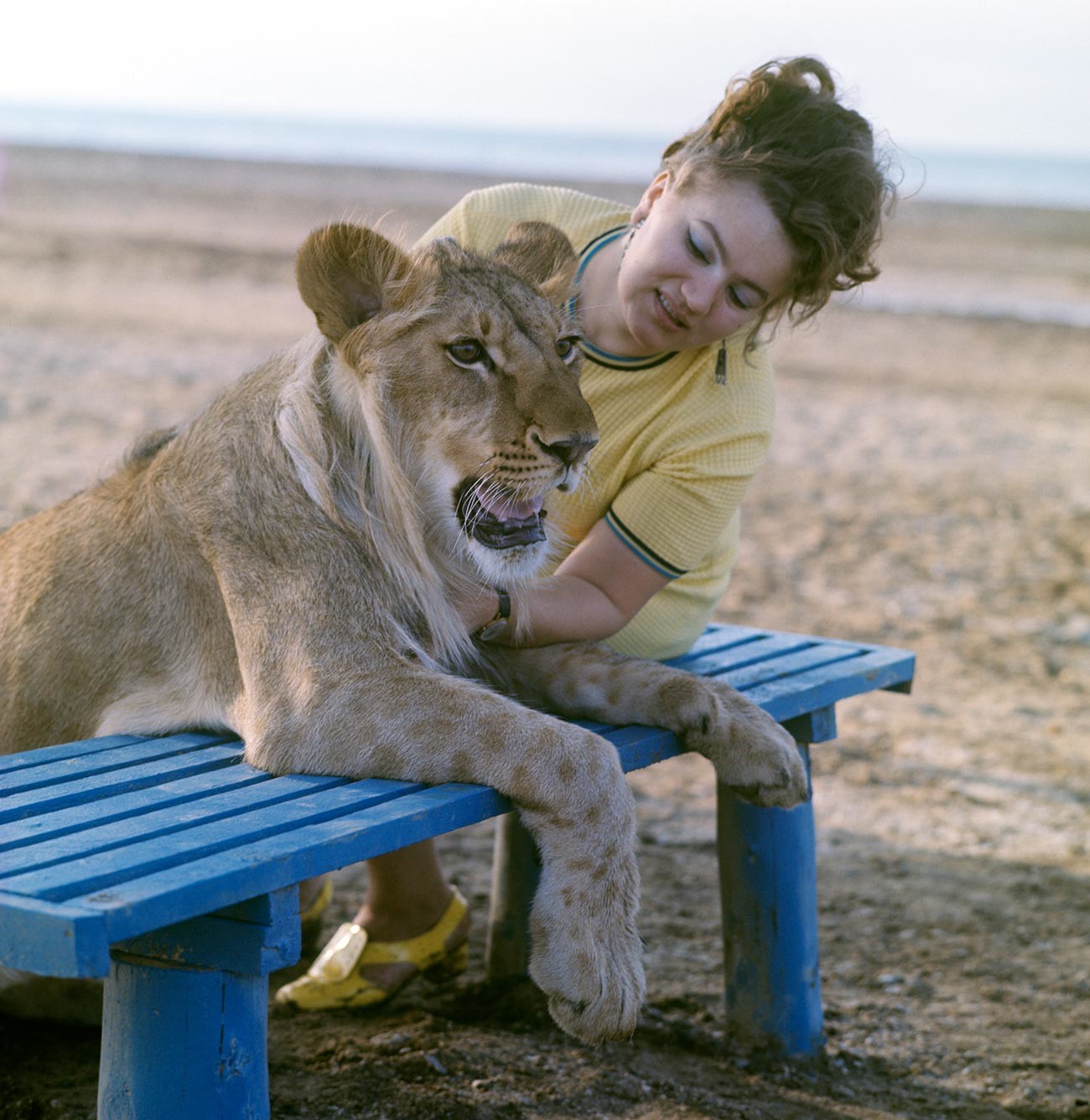 Nina Berberova on a walk with her pet lion King. The coast of the Caspian Sea