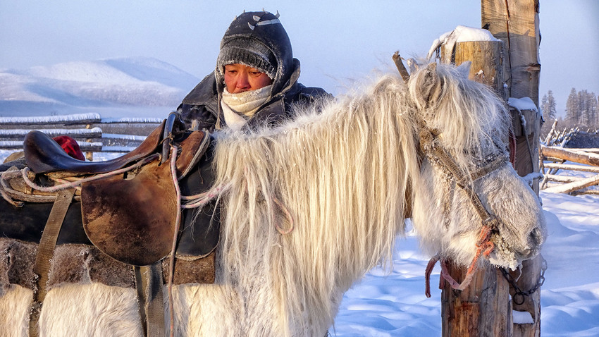 Sibirische Pferdezucht in Ojmjakon.