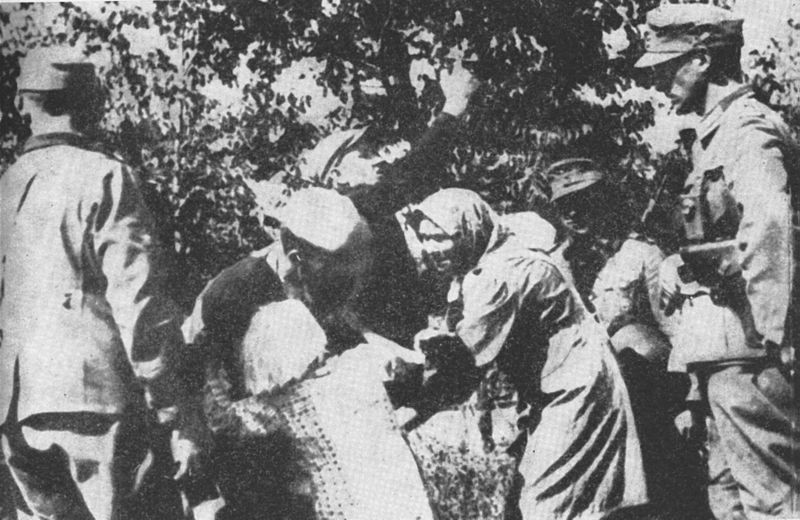 Otmica poljske djece tijekom nacističke akcije prebacivanja u Zamojszczyznu (1942.-1943.)