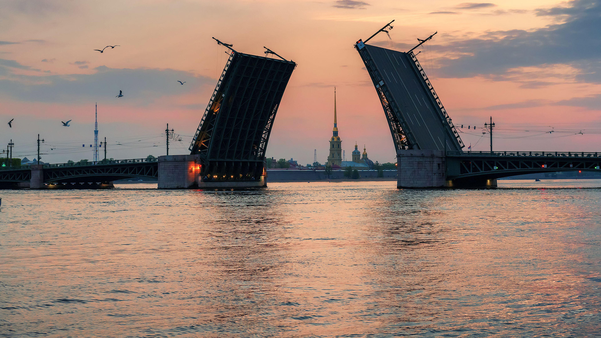 Palace Bridge On Neva River In White Night In St Petersburg, Russia 