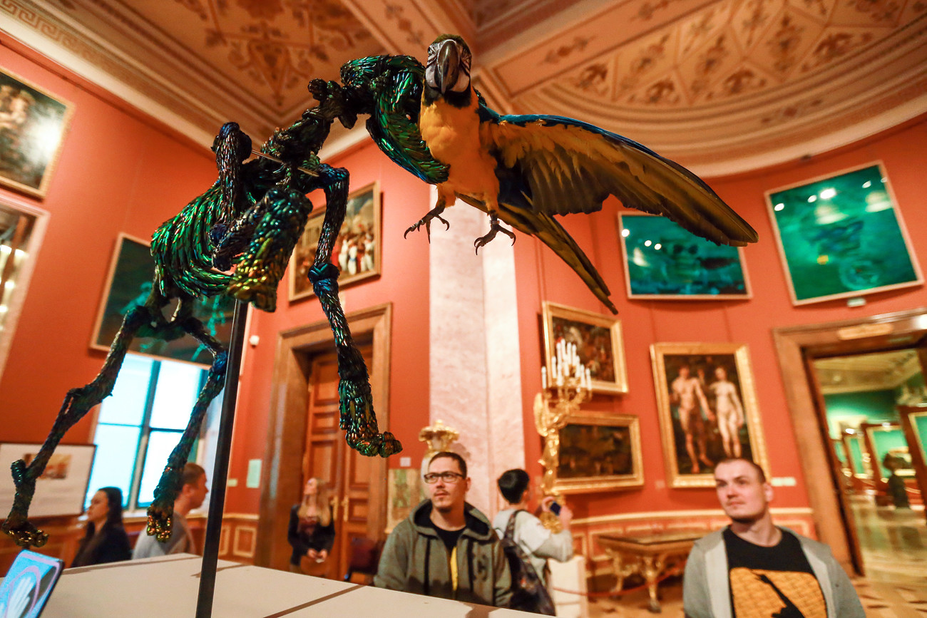 'Jan Fabre. Knight of Despair / Warrior of Beauty' exhibition in the Hermitage, 2016