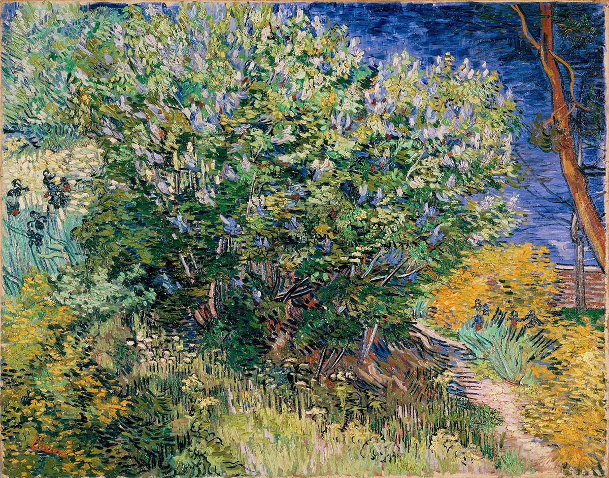 Vincent Willem van Gogh. Arbusto de lilas