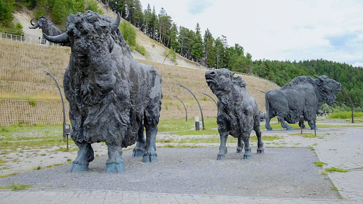 Sculptures of bisons at the Archeopark cultural and tourist complex 