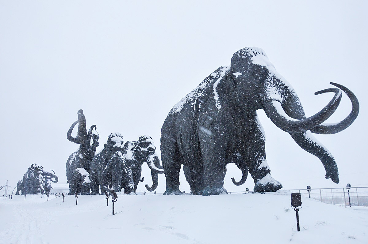 Mammoths at the Archeopark 
