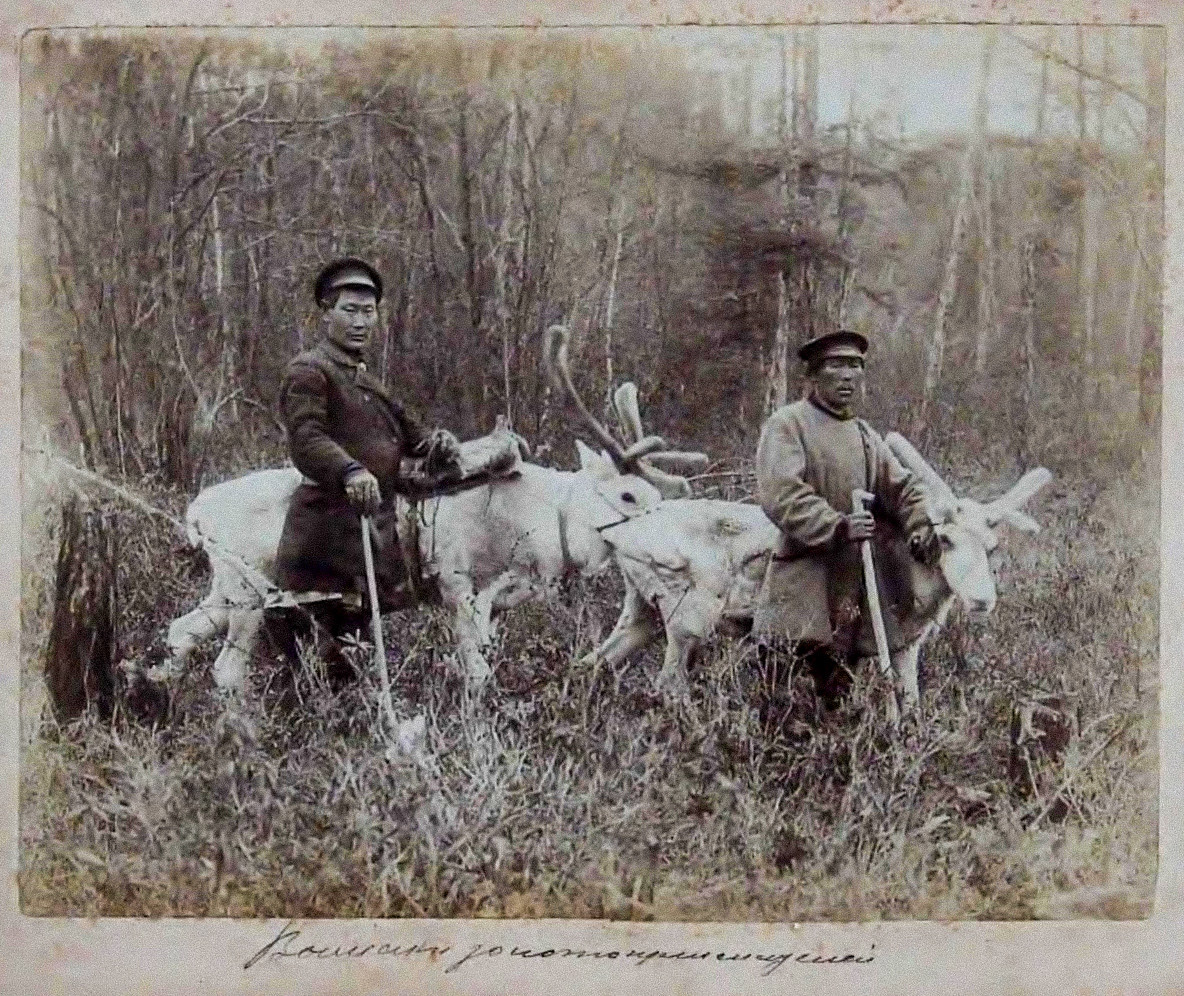 Teretne životinje kopača zlata. Oko 1895. godine na Amuru.