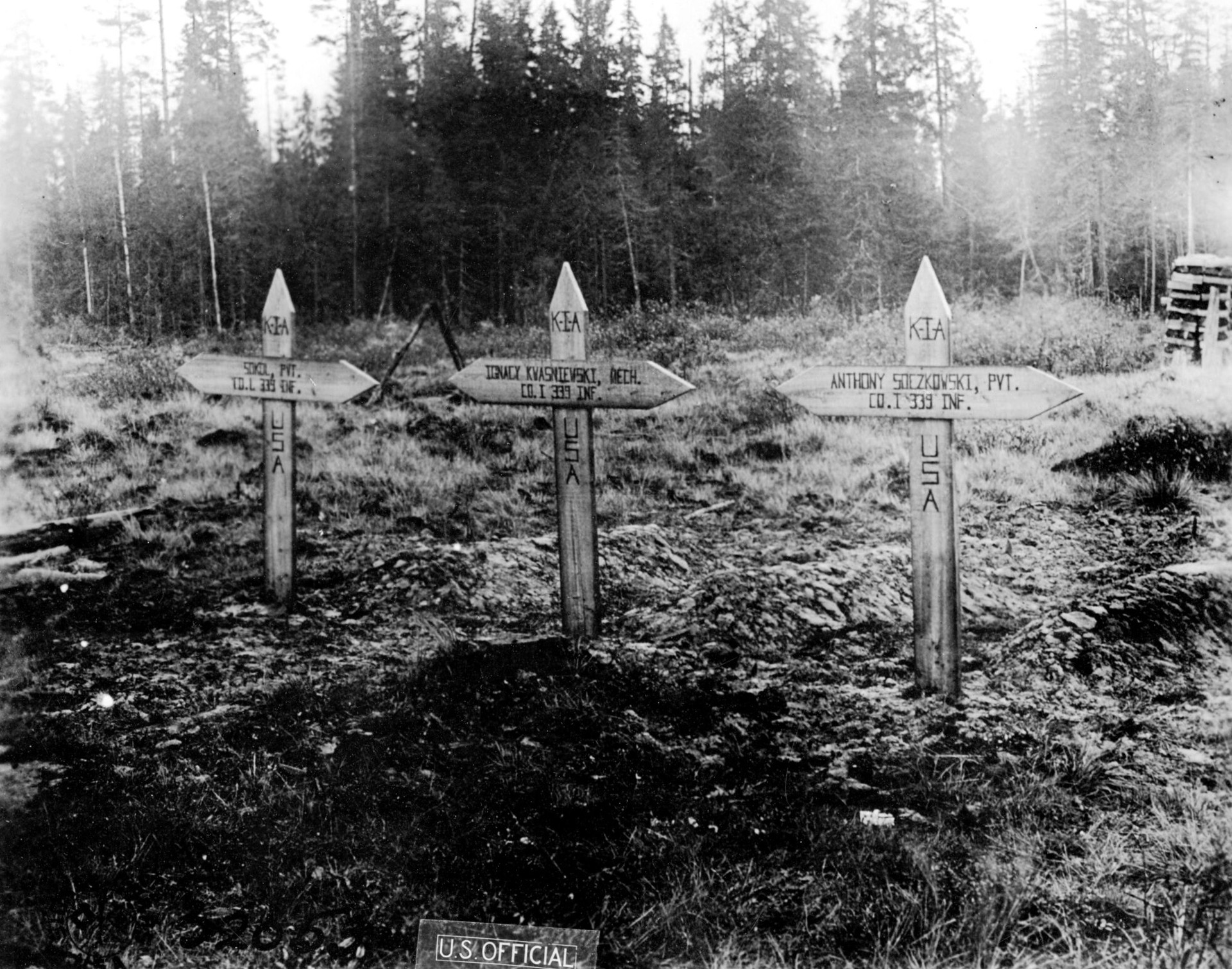 American graves in Russia.