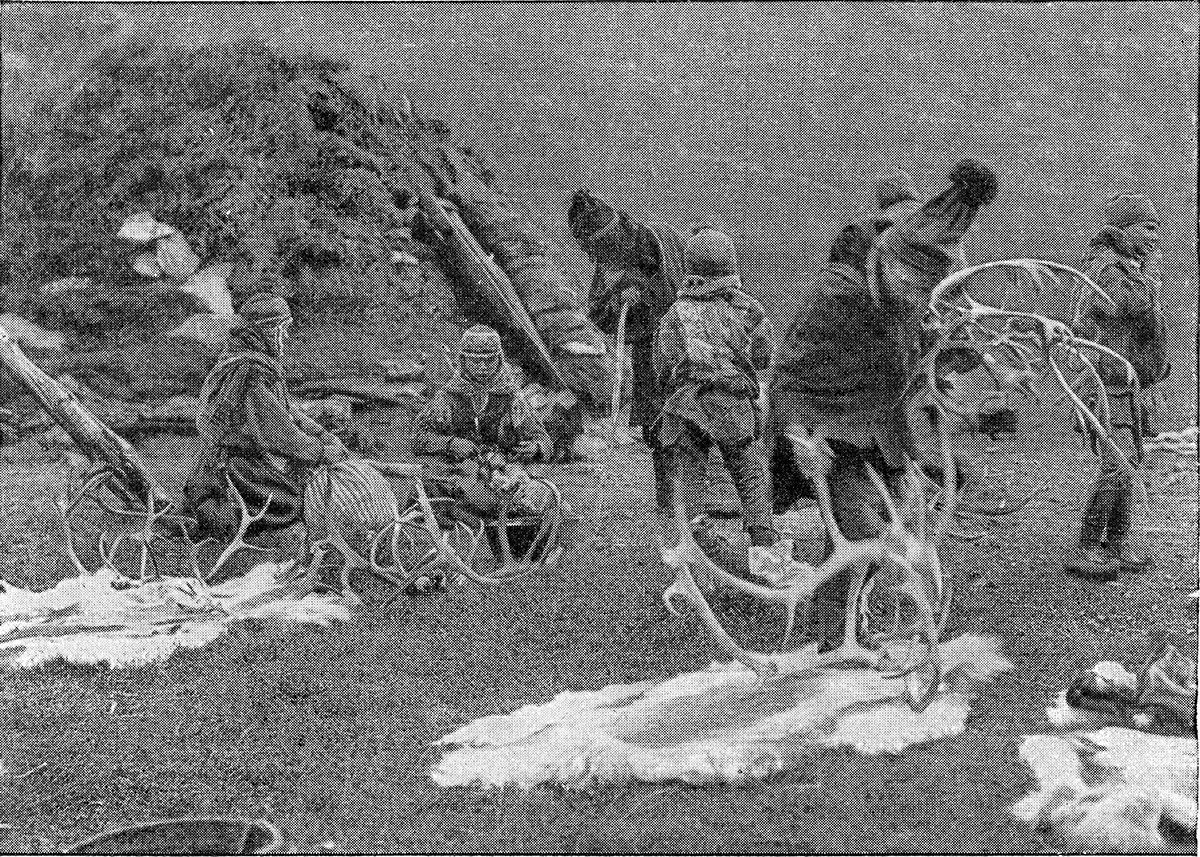 Représentants du peuple nordique des Samis