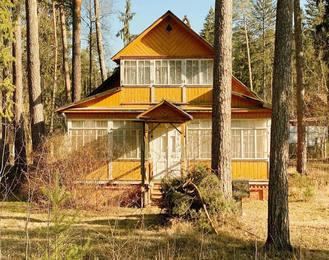 UNIQUE Soviet DACHAS as you have never seen them before! (PHOTOS ...