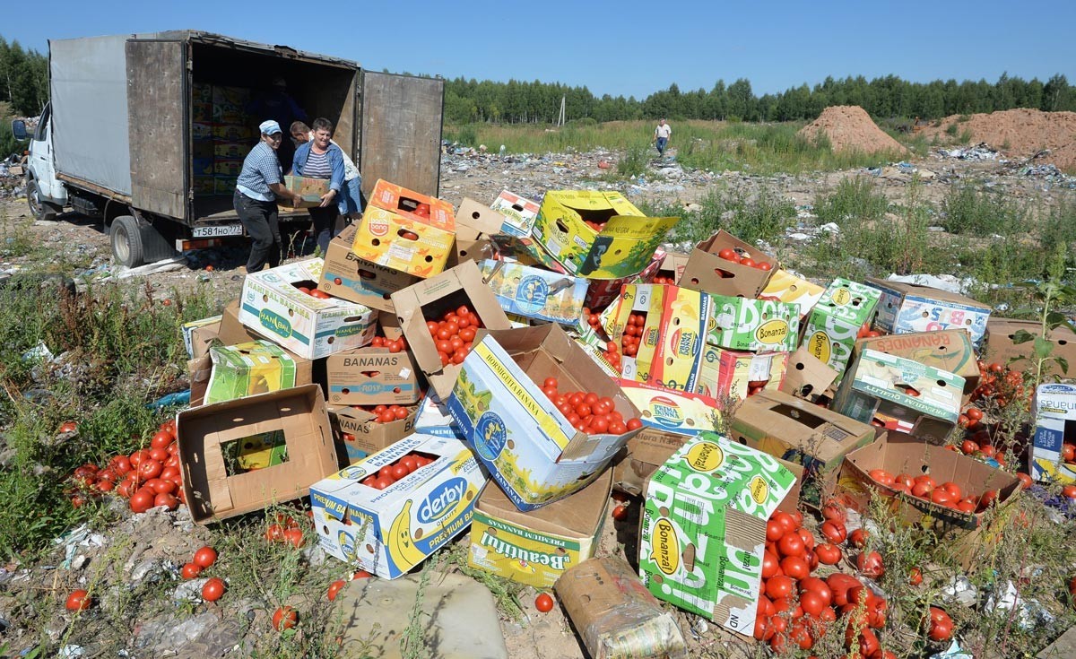 Tomat terlarang yang disita di perbatasan Rusia-Belarus dihancurkan, Smolensk Oblast.